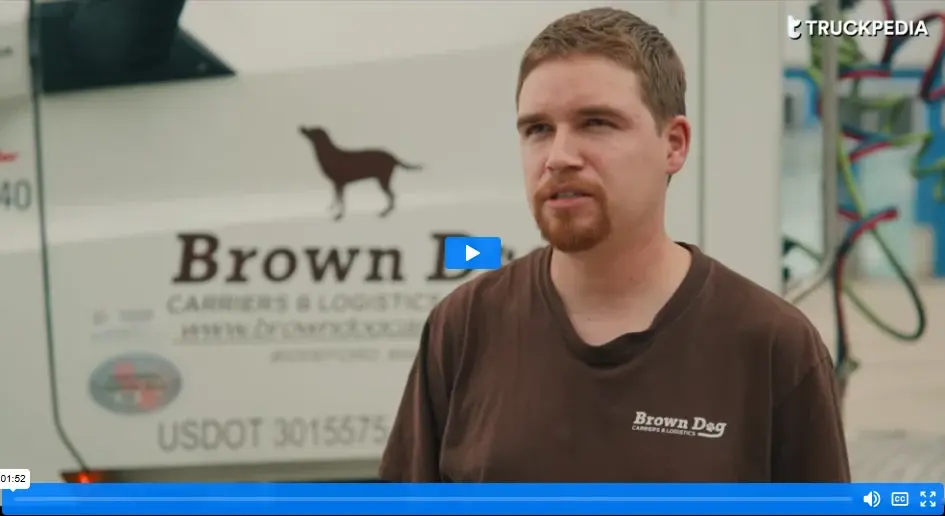 Brown Dog Testimonial Brown Dog Testimonial